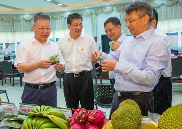 海南農(nóng)業(yè)發(fā)展